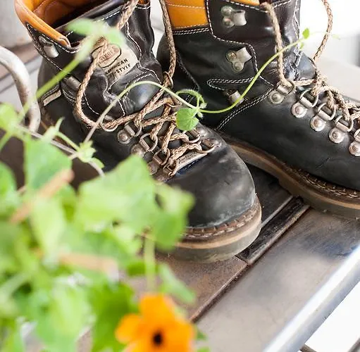 Weisses Roessl, In Der Wachau Locanda